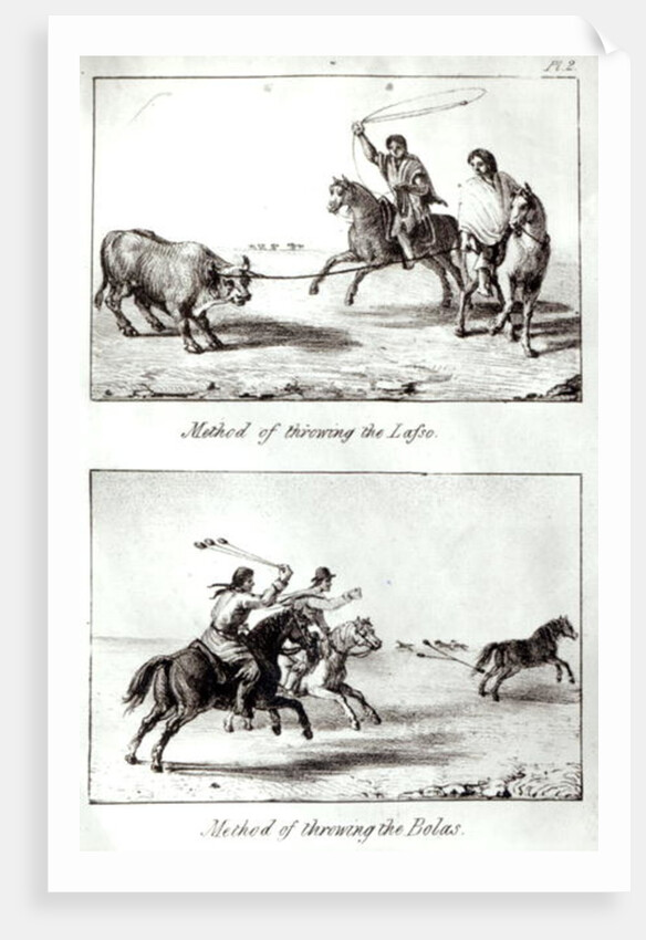 Methods of Throwing the Lasso and the Bolas by John Miers