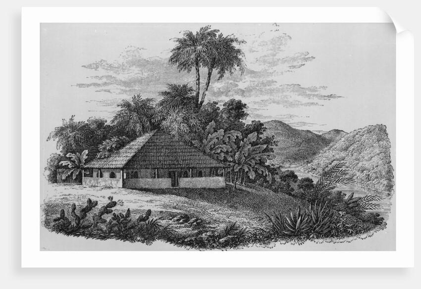 A Planter's House in Brazil by English School