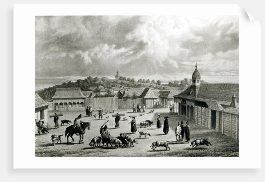 Plaza de San-Carlos de Chiloe, 1835] by Claudio Gay