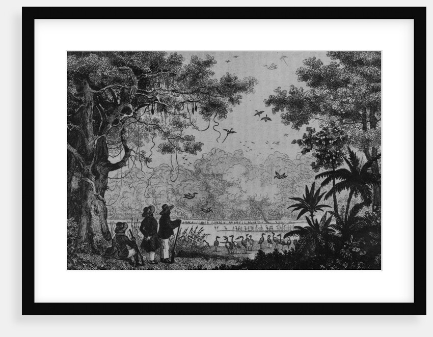 Bird Hunting by French School