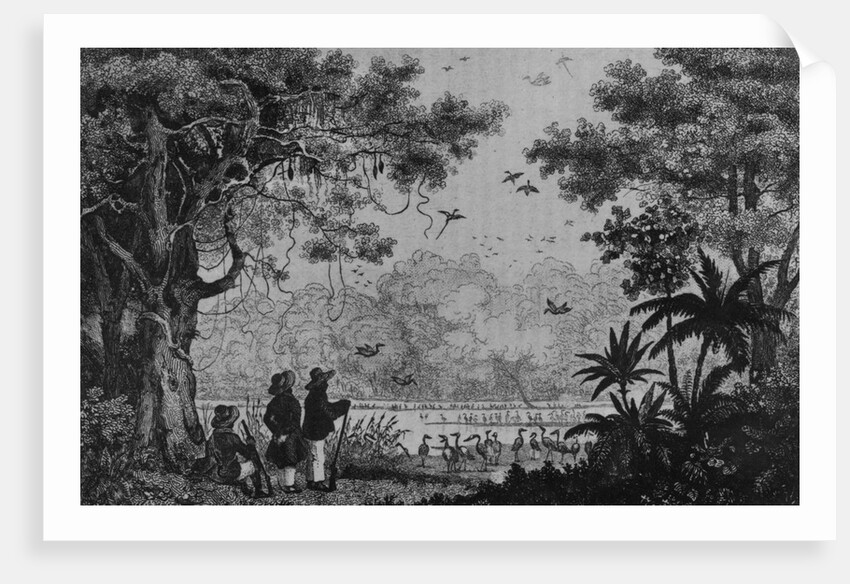 Bird Hunting by French School