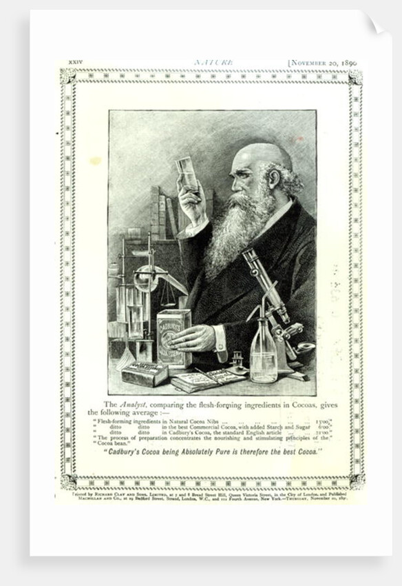 Advertisement for 'Cadbury's Cocoa', from Nature, 20th November 1890 by (after) English School