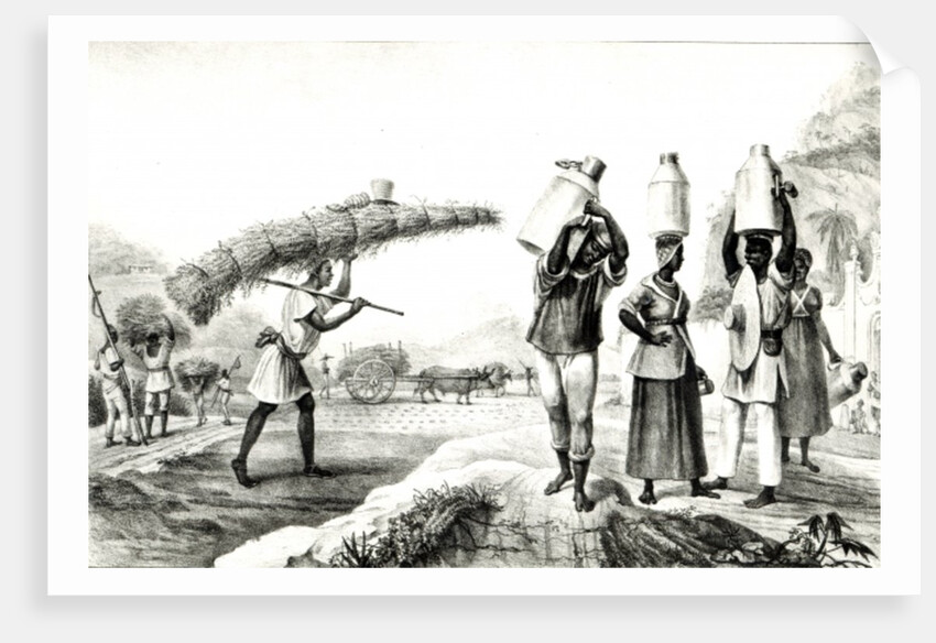 Milk and Capim Vendors by Jean Baptiste Debret