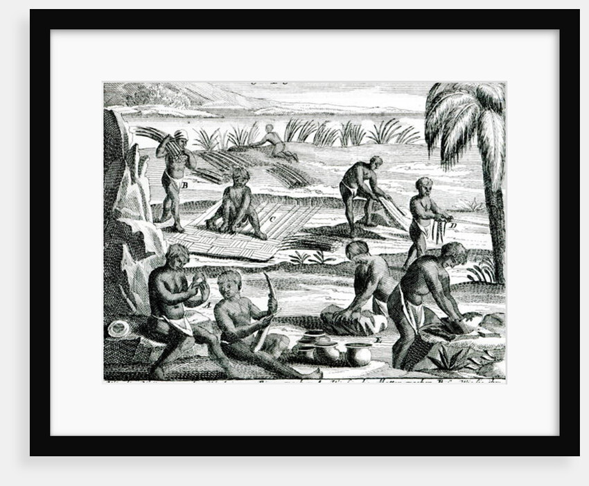 Hottentots by Dutch School