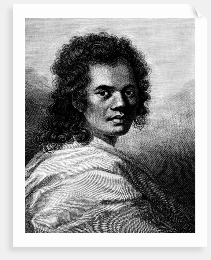 Omai by William Hodges