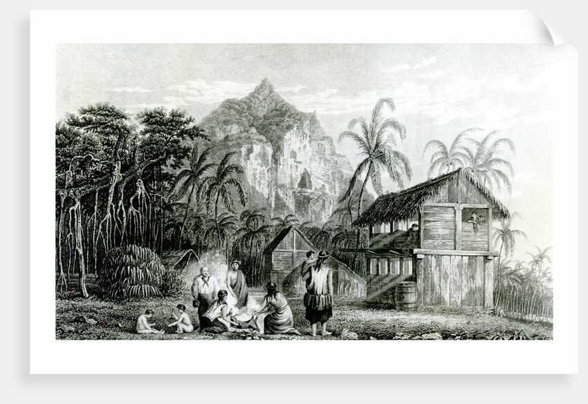 Interior of Pitcairn Island, 1831 by William Beechey