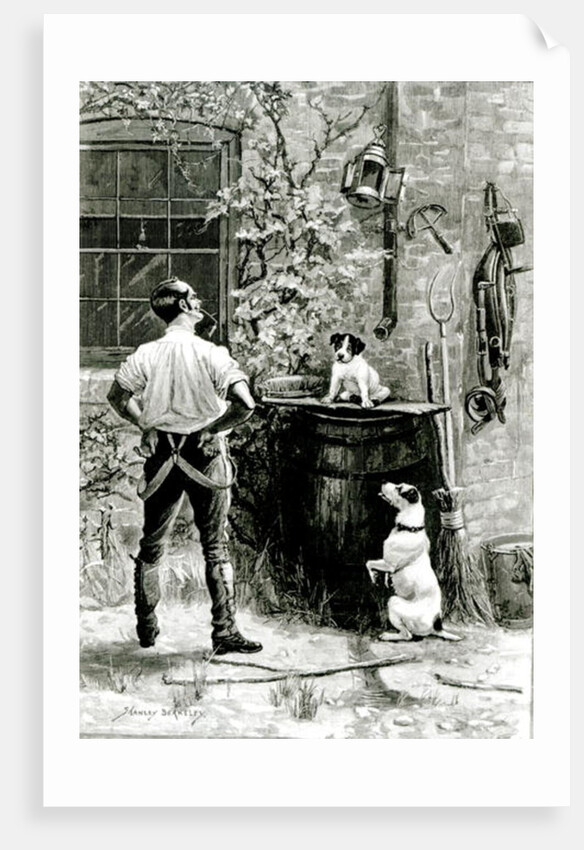 The Survival of the Fittest by Stanley Berkeley