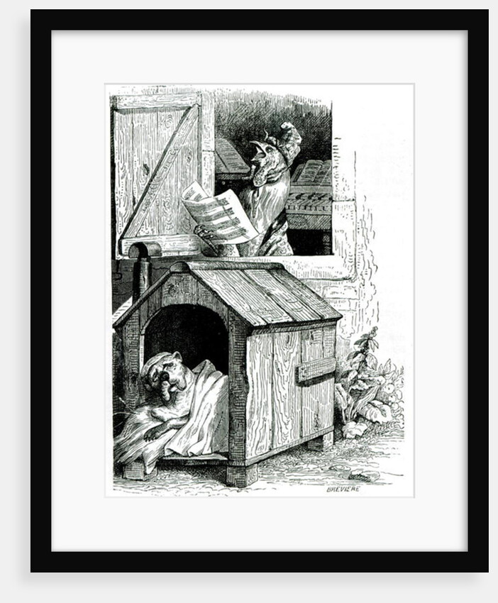 Dog sleeping and cockerel singing, from J. Thomson's 'Public and Private Life of Animals' by English School