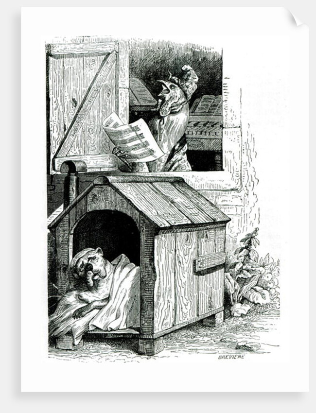 Dog sleeping and cockerel singing, from J. Thomson's 'Public and Private Life of Animals' by English School