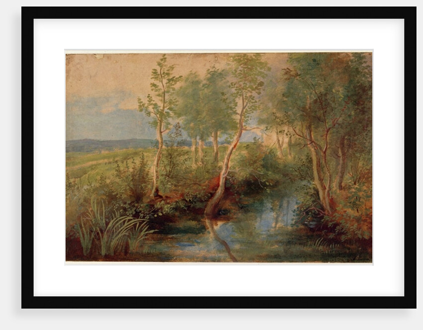 Landscape by Peter Paul Rubens