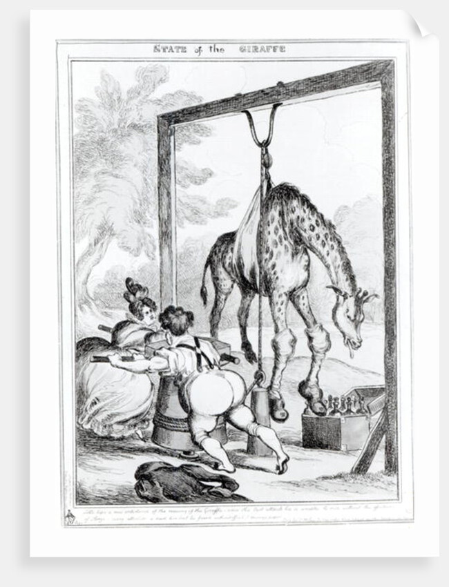 State of the Giraffe, 1829 by William Heath