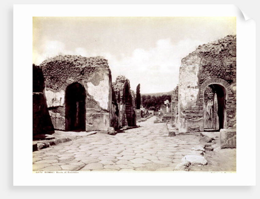 Portraits of Roman Emperors by Henry R. Cook