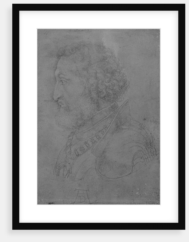 Frederick II of the Rhine, Elector Palatine, 1523 by Albrecht Dürer or Duerer