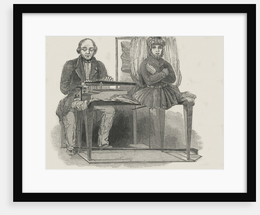 The Euphonia, or Speaking Machine, 1846 by English School