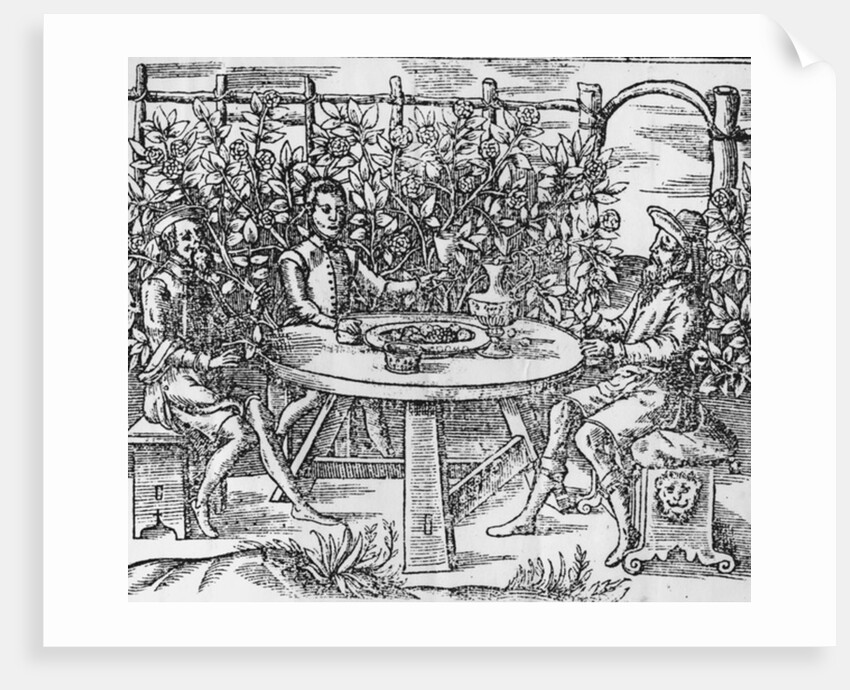 Relaxing in an arbour, 1577 by Thomas Hill