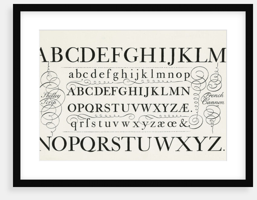 Specimen typefaces by Anonymous