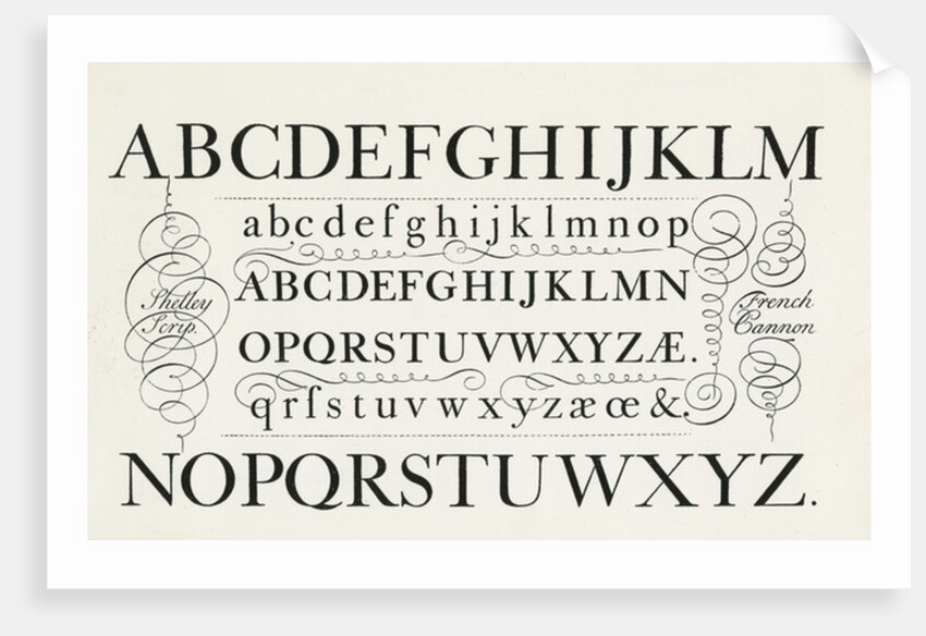 Specimen typefaces by Anonymous
