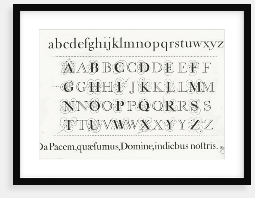Specimen typefaces by Anonymous