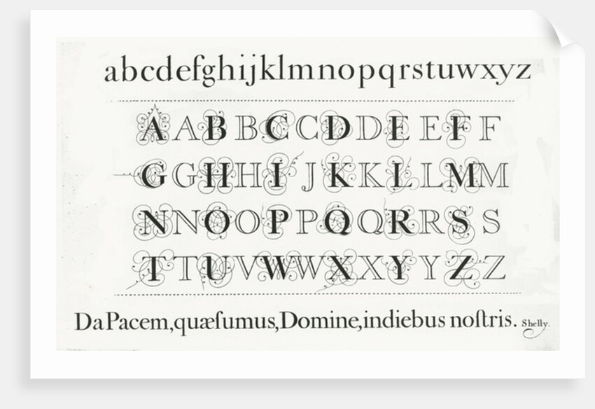 Specimen typefaces by Anonymous