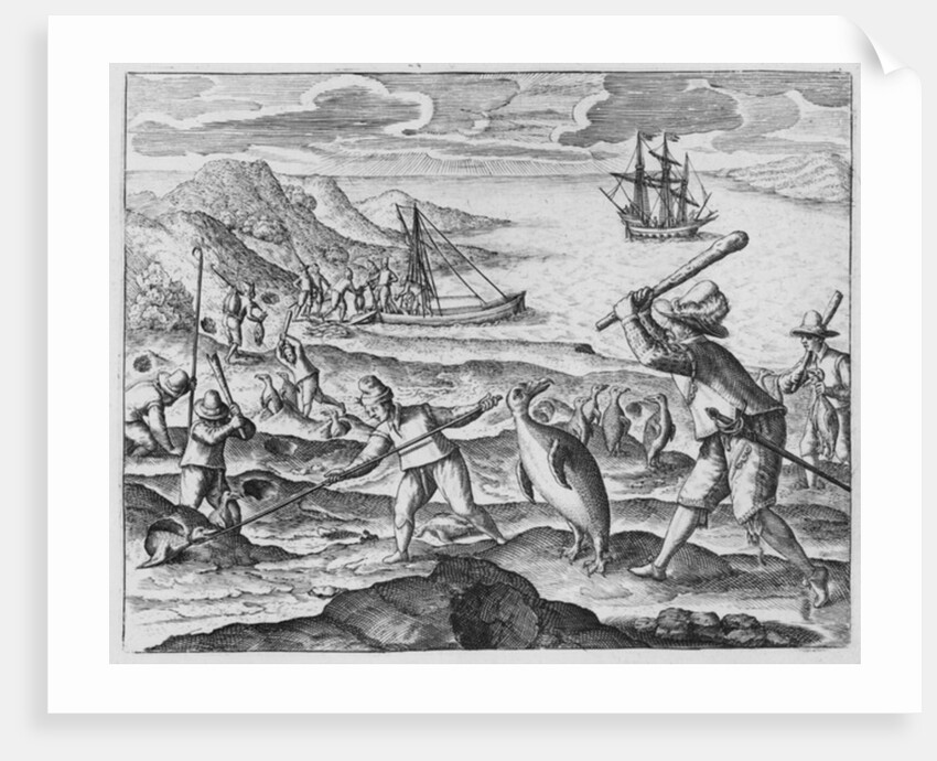 Penguin hunting, 1598 by Dutch School