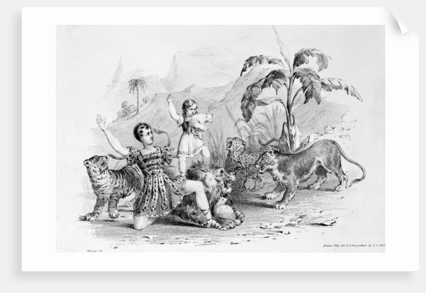 Isaac Van Amburgh taming a lion, 1838-9 by G. E. Madeley