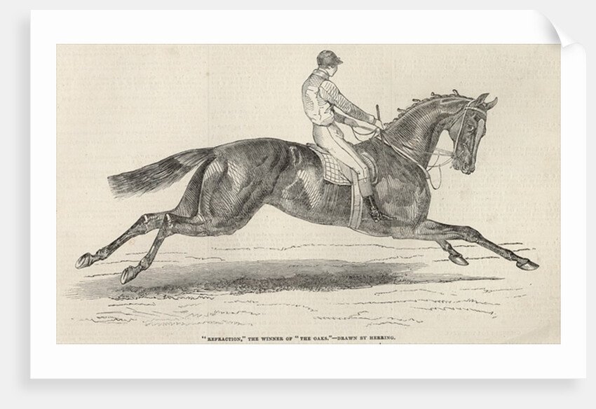 Refraction, the winner of 'The Oaks' by John Frederick Herring Snr