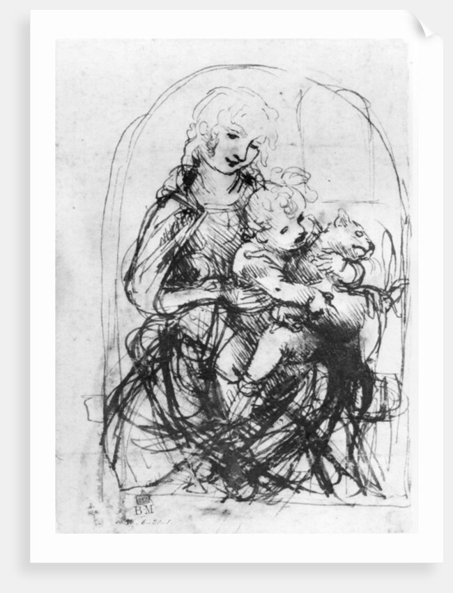 Study for a Madonna with a Cat, c.1478-80 by Leonardo da Vinci