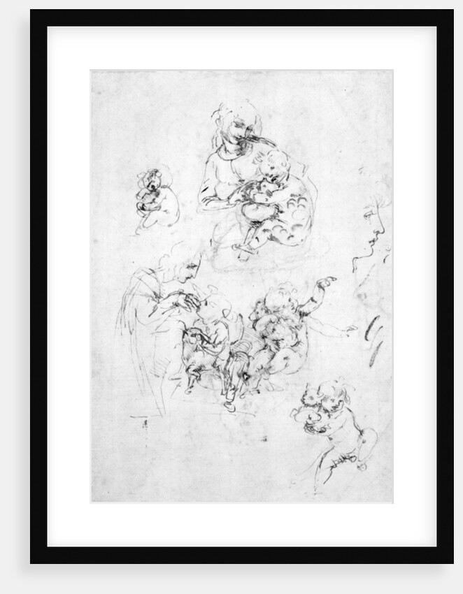 Studies for a Madonna with a cat, c.1478-80 by Leonardo da Vinci