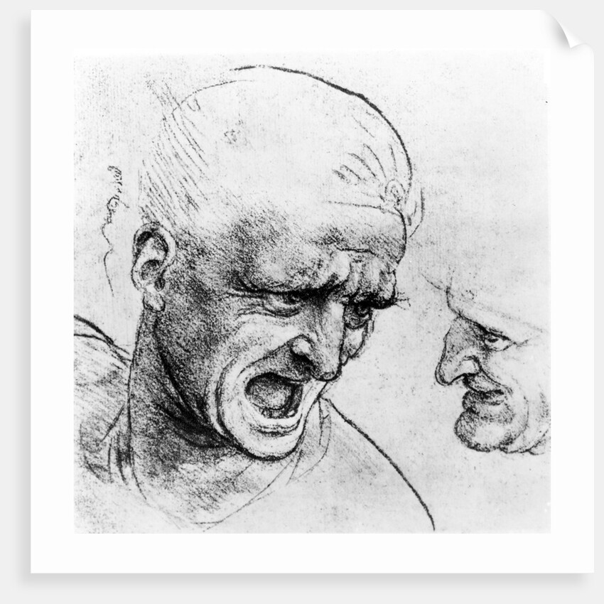 Studies for the heads of two soldiers in 'The Battle of Anghiari', c.1504-05 by Leonardo da Vinci