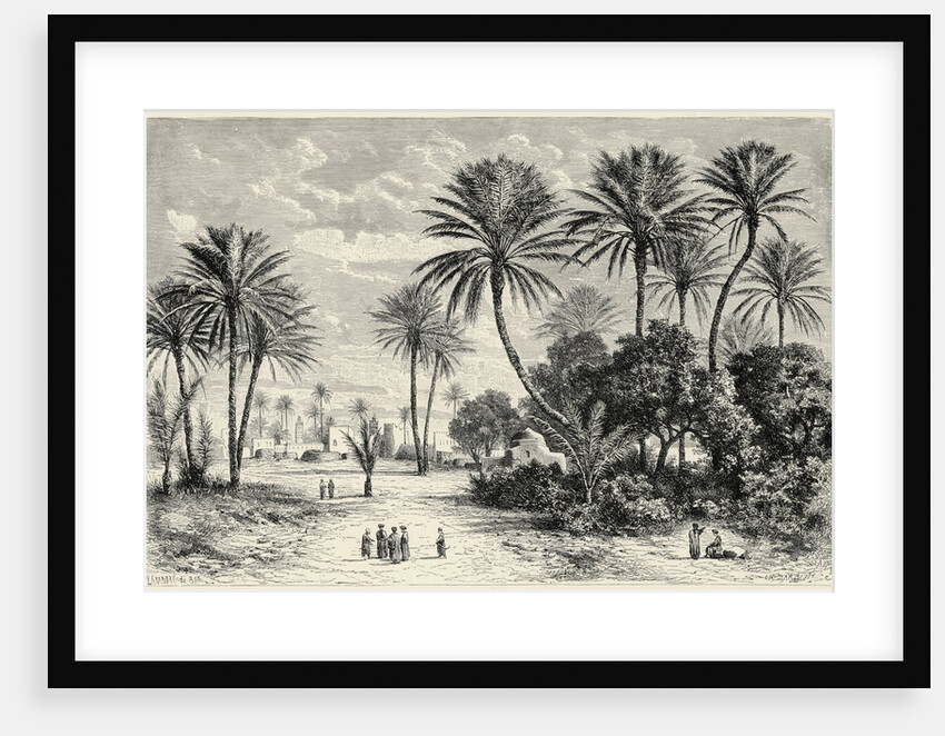 Oasis of Gafsa: Tunis by Charles Barbant