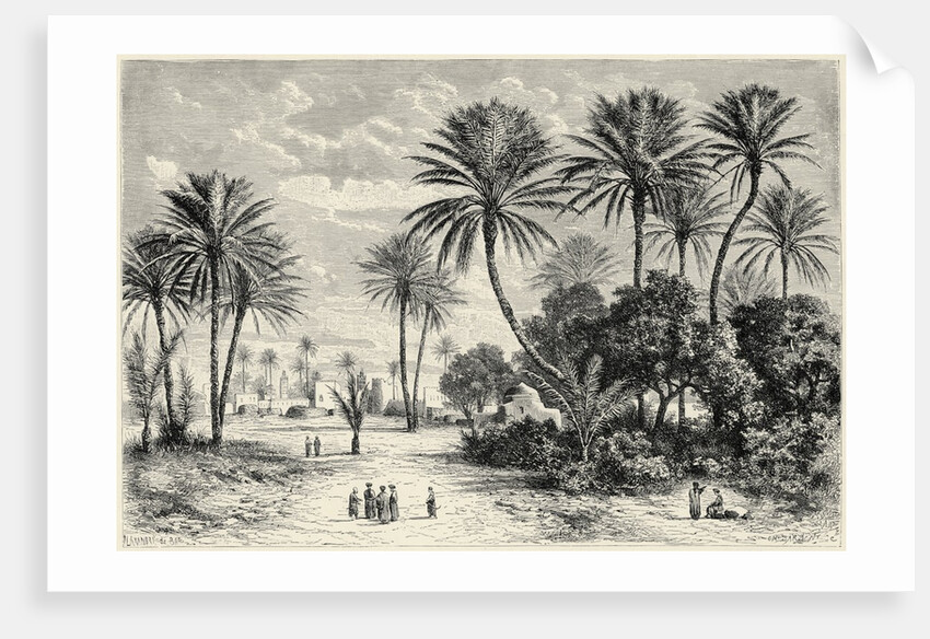 Oasis of Gafsa: Tunis by Charles Barbant