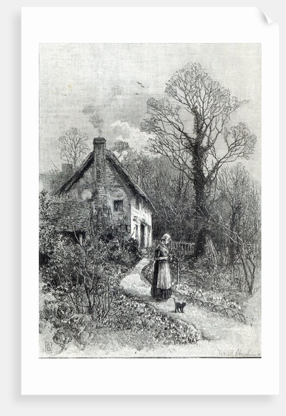 First Flowers by English School