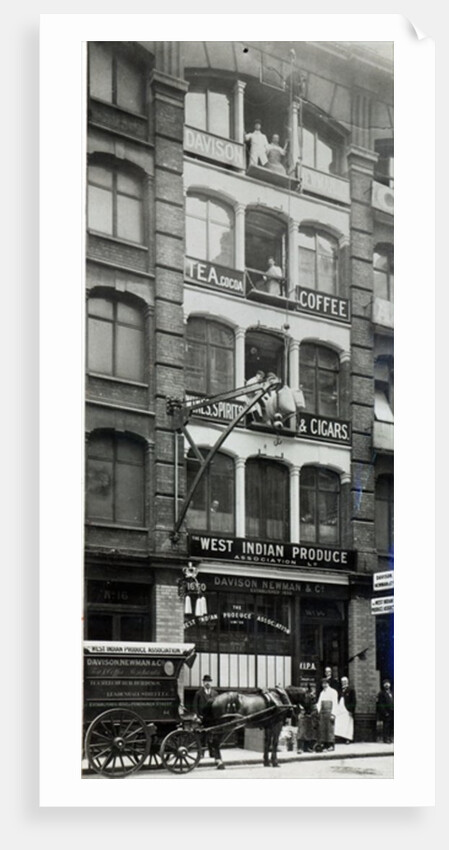 Davison Newman & co, Creechurch Lane, London c.1920 by English Photographer