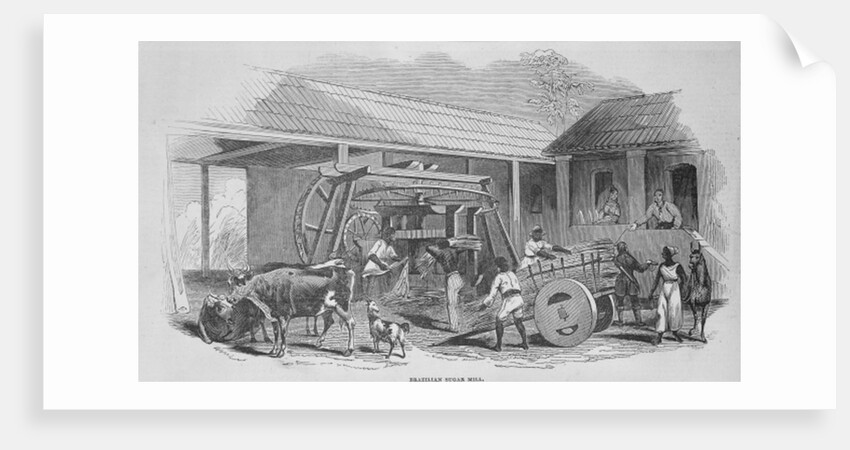 The Sugar Mill, c.1835 by Johann Moritz Rugendas