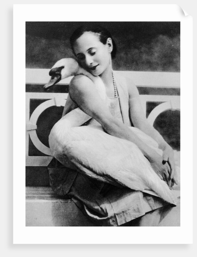 Anna Pavlova with her pet swan Jack, c.1905 by English Photographer