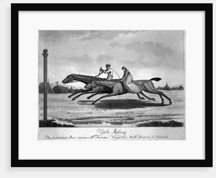 York Meeting, The Celebrated Race between Mr. Thornton's 'Vingarillo' and Mr. Flint's 'Thornville', August 25th 1804 by English School