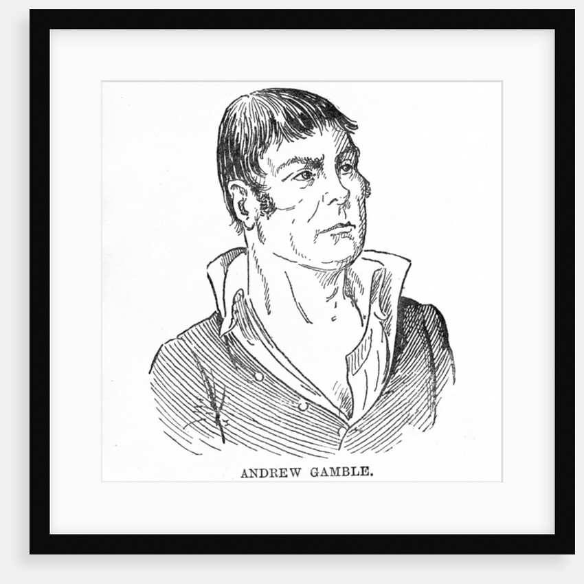 Andrew Gamble by English School