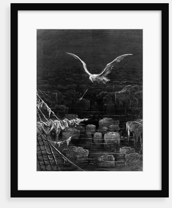 The albatross is shot by the Mariner by Gustave Dore