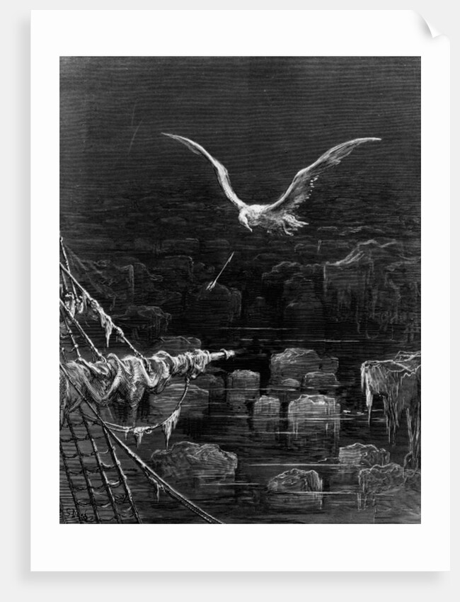 The albatross is shot by the Mariner by Gustave Dore