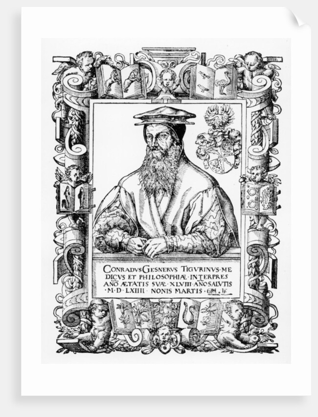 Conrad Gesner by Swiss School