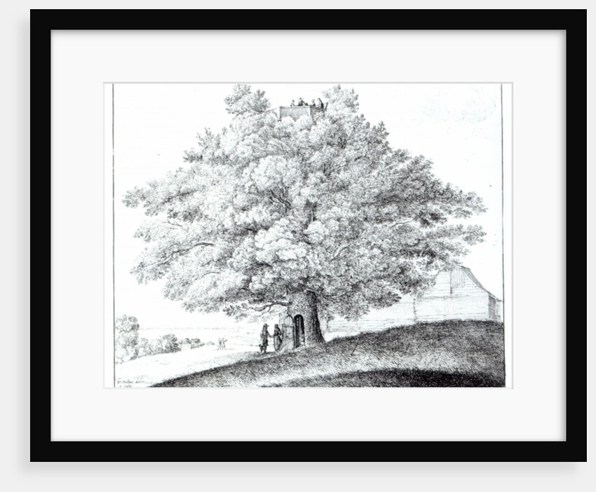 Hollow Tree at Hampstead, 1663 by Wenceslaus Hollar