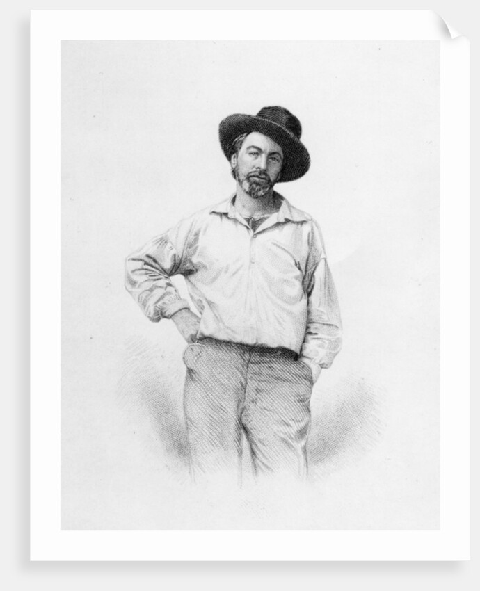 Walt Whitman by American School