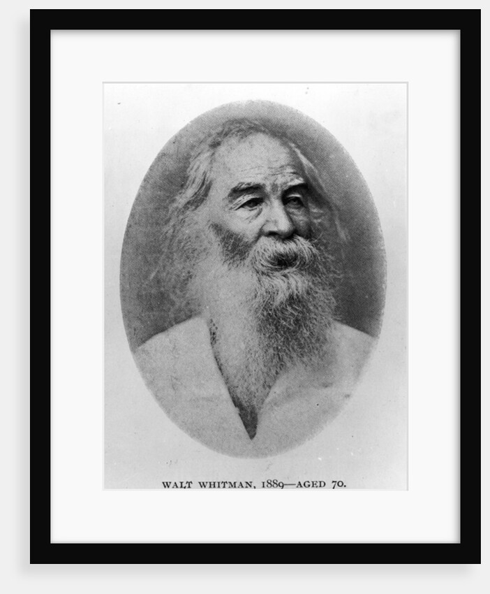 Walt Whitman, photographed in 1889 by American Photographer