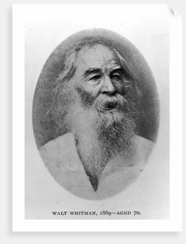 Walt Whitman, photographed in 1889 by American Photographer