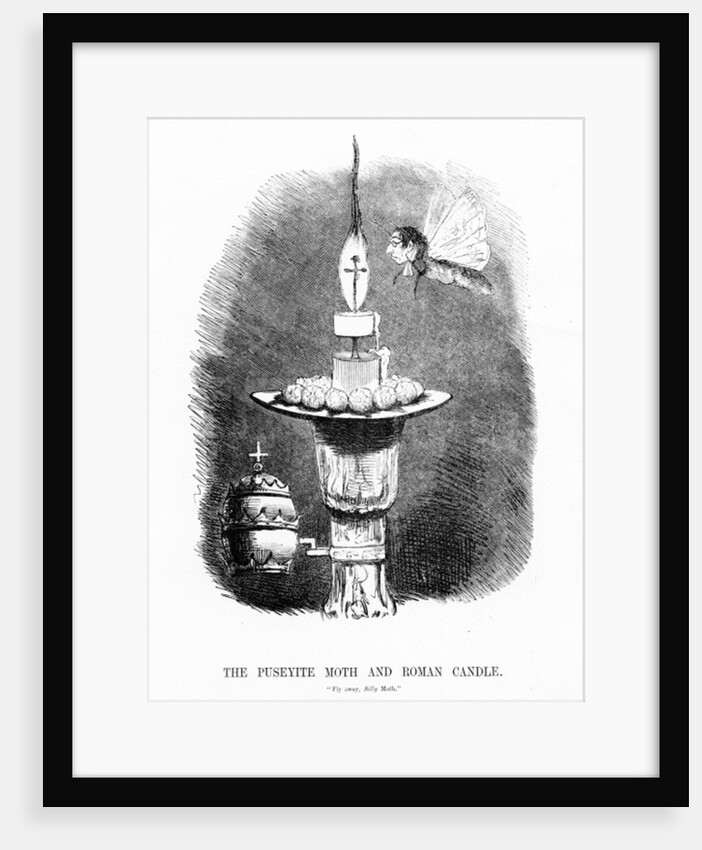 The Puseyite Moth and the Roman Candle by English School