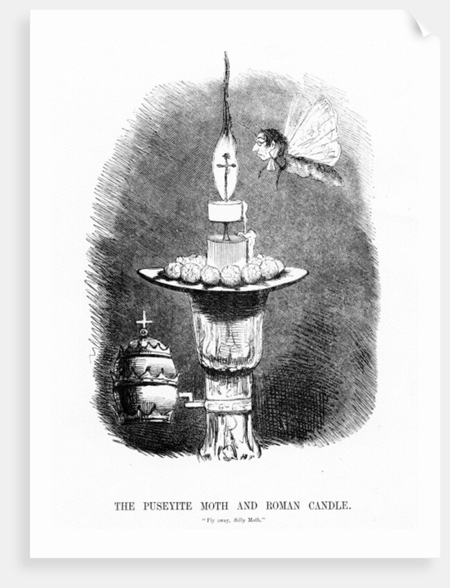 The Puseyite Moth and the Roman Candle by English School