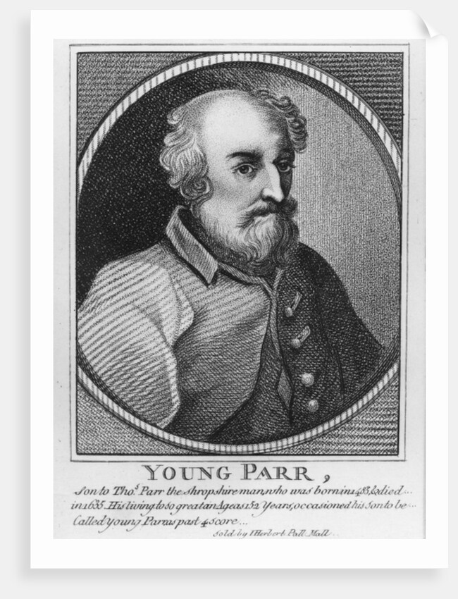 Young Parr by (after) English School