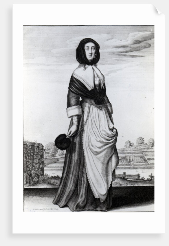 Autumn, 1643 by Wenceslaus Hollar