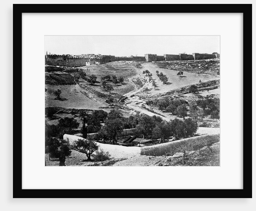 Garden of Gethsemane, 1857 by James & Beato Felice (1832-1909) Robertson