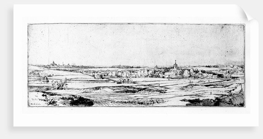 The Goldweigher's Field near Haarlem, 1651 by Rembrandt Harmensz. van Rijn